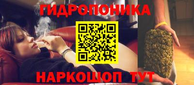 сатива Берёзовский